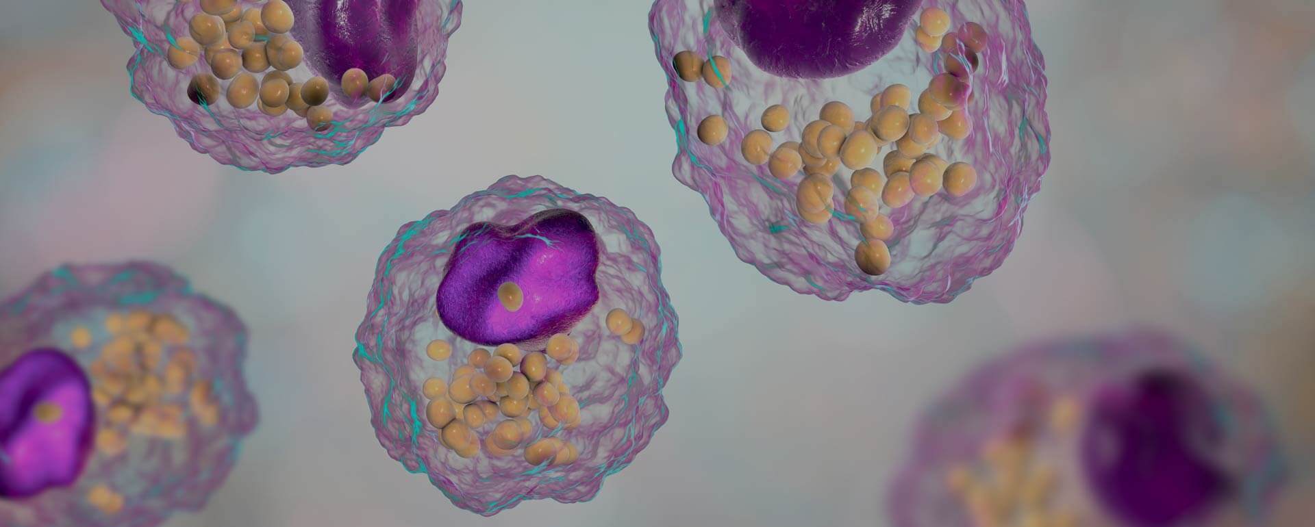 Comprehensive LIPIDOMICS Services by Creative Proteomics - Mass spectrometry-based lipid analysis for biomedical research