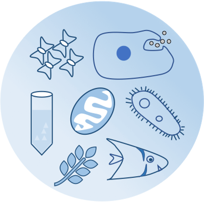 Rich Variety of Sample Types