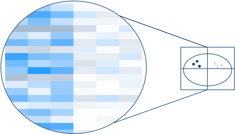 Visualizing Data