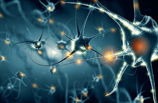 Sphingolipids Analysis