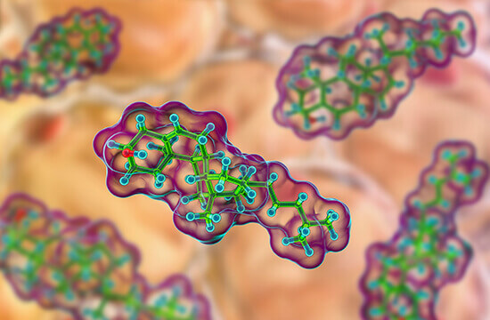 Sterol Lipids Analysis