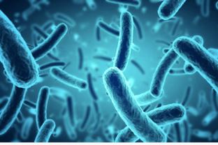 Microorganisms 
