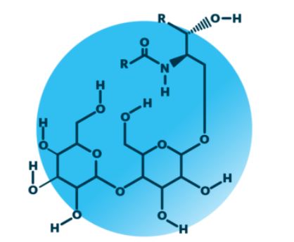 Dihexosylceramides Targeted Lipidomics