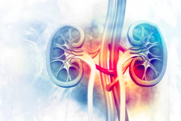 Kidney Disease