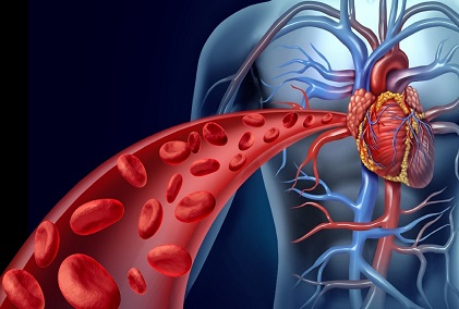 Cardiovascular Diseases