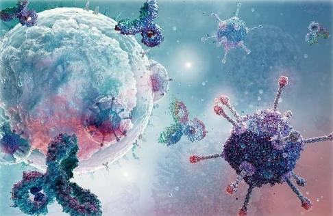 Immune Disease