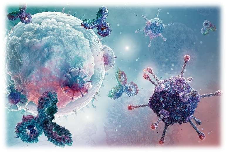 Lipidomics for Immune Disease Research
