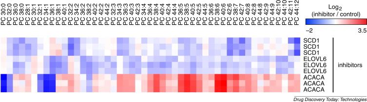 HCT116 treated with different compounds shows unique and characteristic changes in lipid profiles