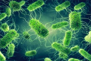 Host–Pathogen Interactions
