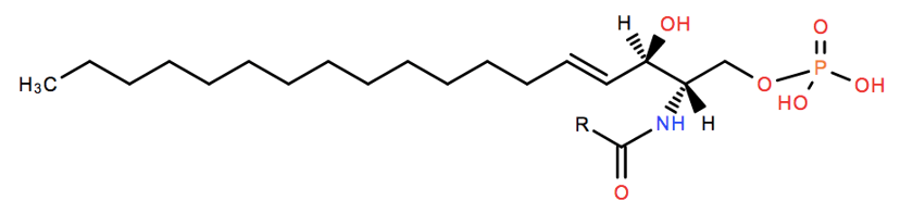 Ceramide 1-Phosphates Analysis Service