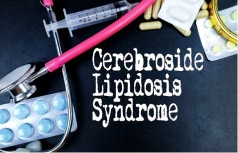 Cerebrosides: Structure, Function, and Analytical Methods