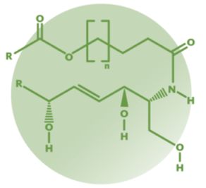cereoh Analysis Service
