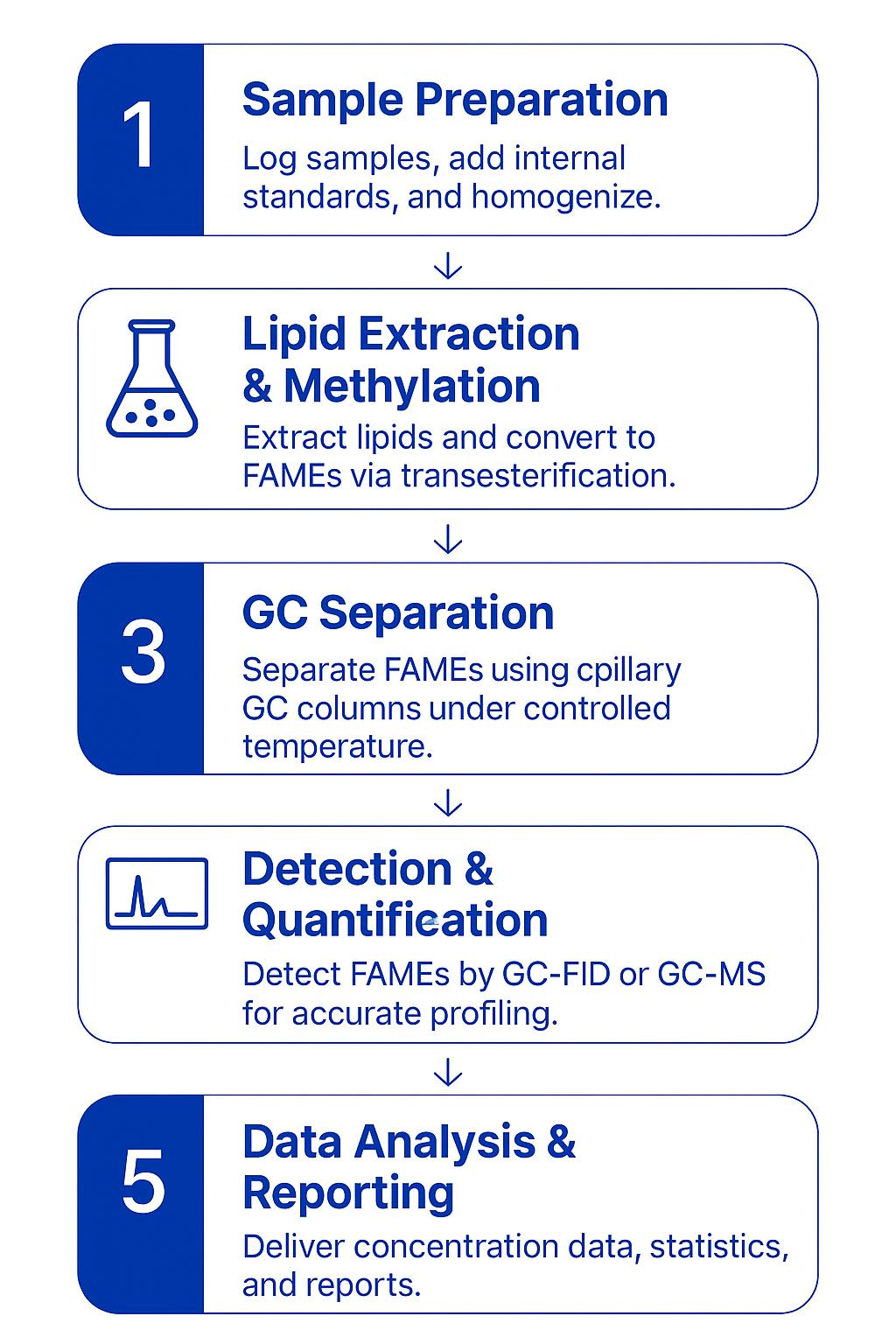 Workflow of Fatty Acid Methyl Ester Analysis