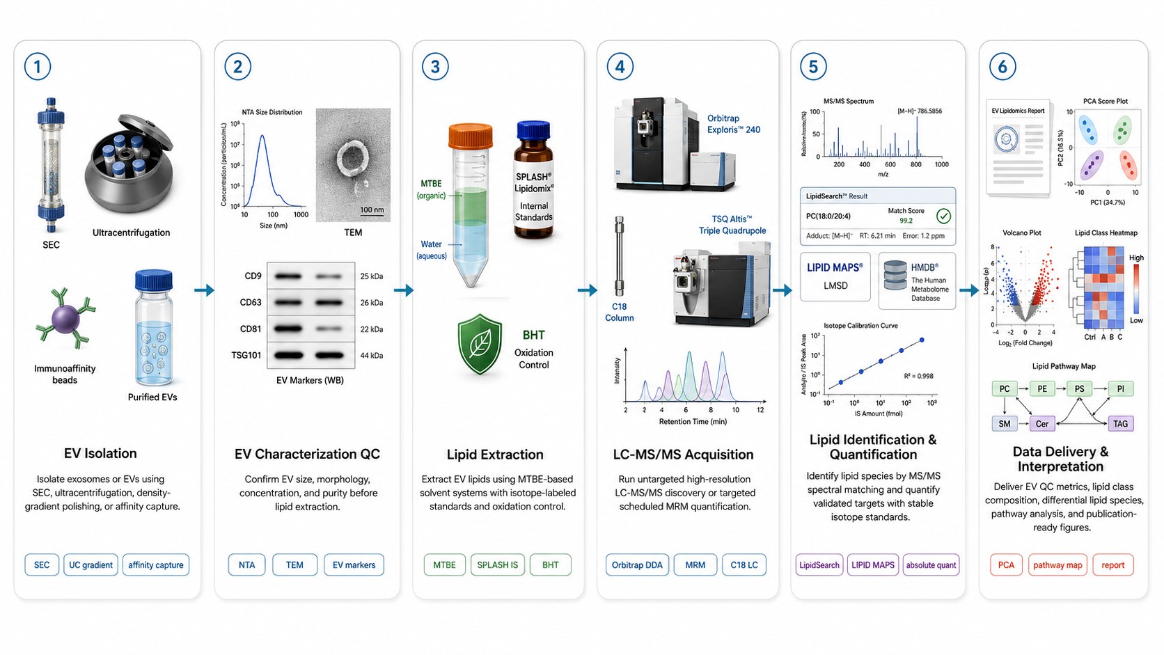 Exosome Lipidomics Workflow — EV isolation, characterization, lipid extraction, untargeted or targeted LC-MS/MS, data analysis