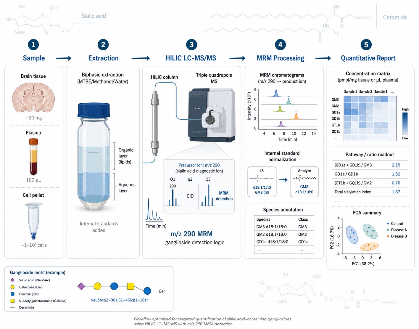 Ganglioside Analysis Workflow