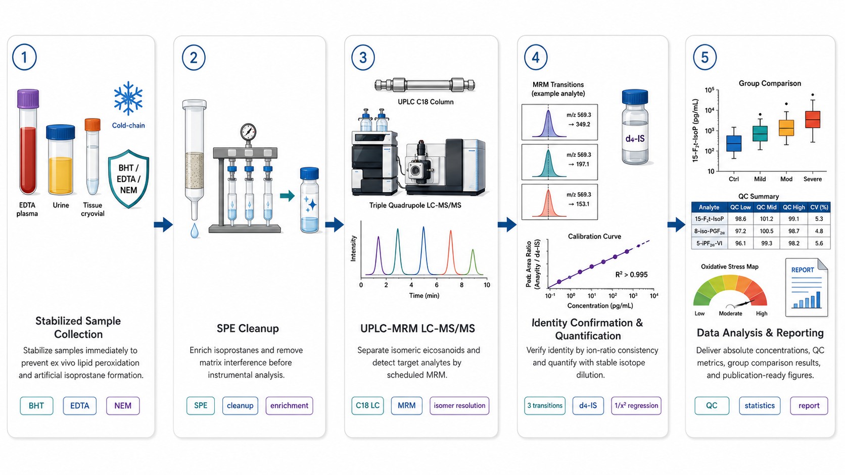 Isoprostane Analysis Workflow