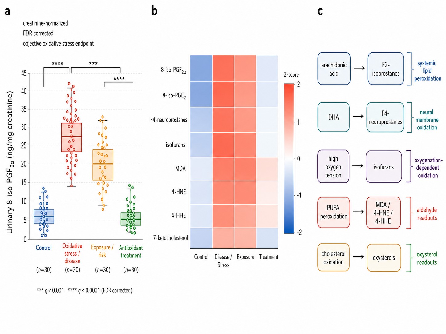 Biological results: group comparison, multi-marker heatmap, and oxidative stress pathway