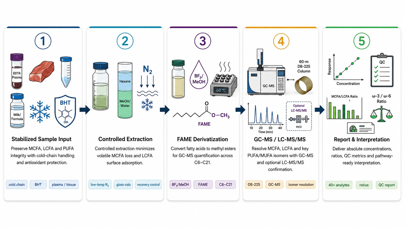 MCFA & LCFA Analysis Workflow — from sample collection through GC-MS FAME profiling to quantitative report