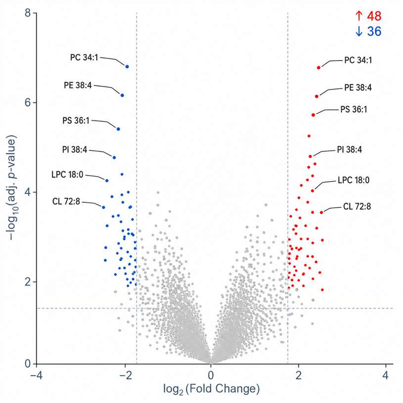 Volcano plot of differential phospholipid abundance