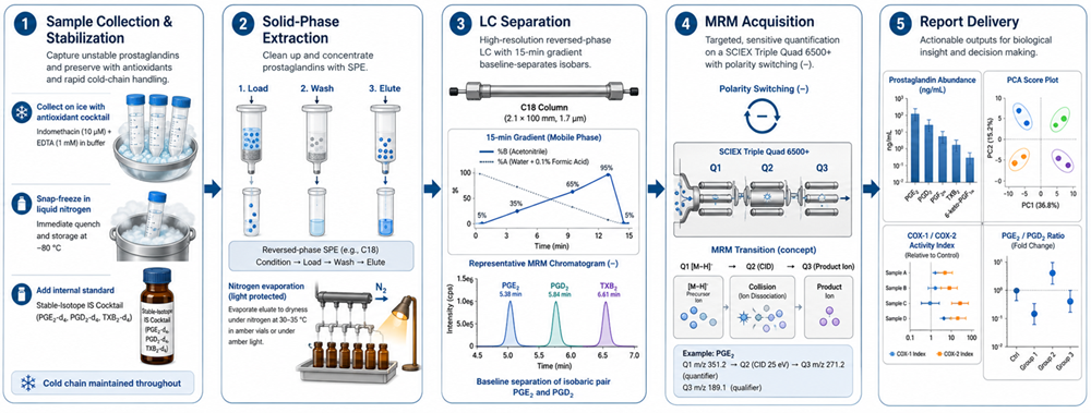 Prostaglandin analysis workflow: stabilized collection → SPE extraction → LC separation → MRM acquisition → report delivery