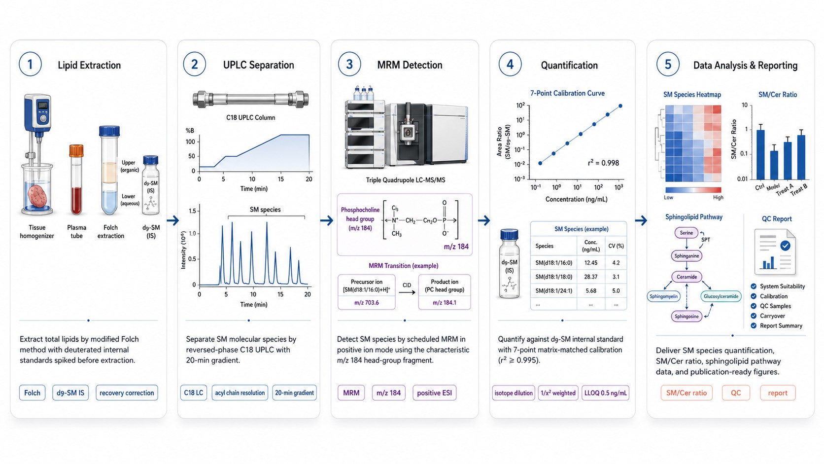 Sphingomyelin analysis workflow