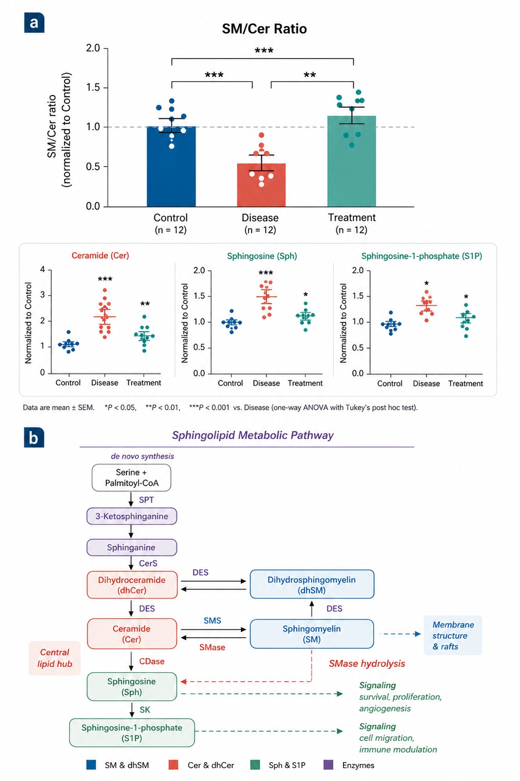 SM/Cer ratio across groups