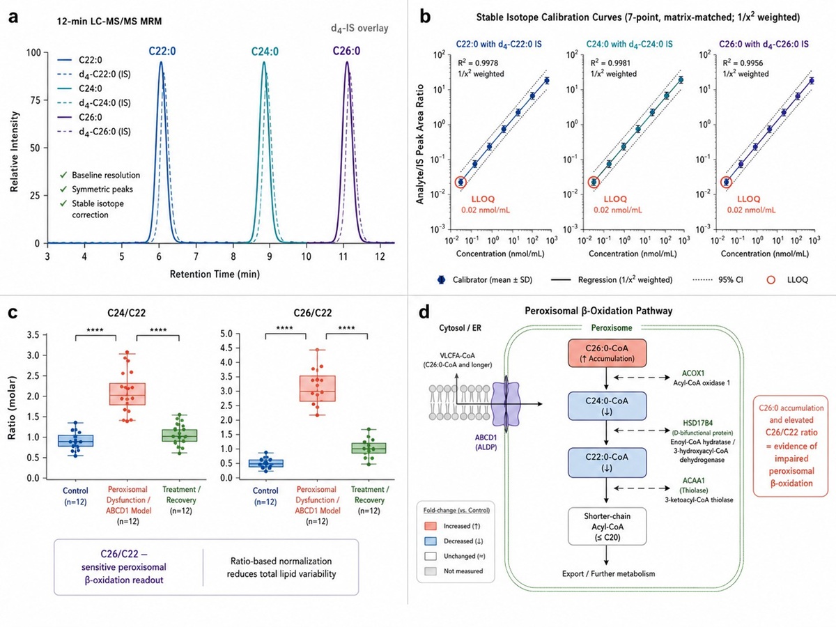 VLCFA MRM chromatogram overlay — C22:0 C24:0 C26:0 with d4-labeled internal standards