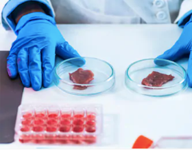 Primary Cell Separation