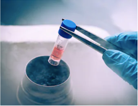 Primary Cell Separation