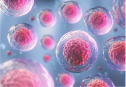 Primary Cell Separation