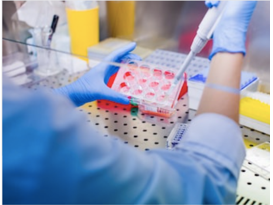 Primary Cell Separation
