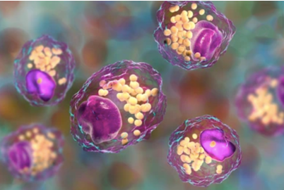 ABOUT LIPIDS
