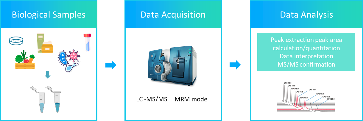 The workflow of rhamnolipids analysis service