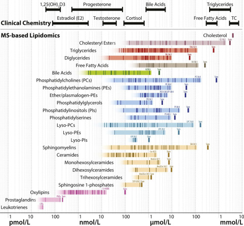 Understanding Plasma Lipidomics: An Introduction