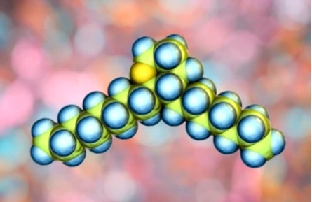 What are Eicosanoids?
