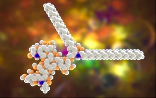 What is GM2 Ganglioside?